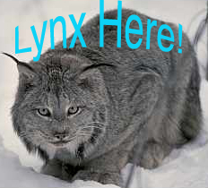 Lynx.  That's Me!